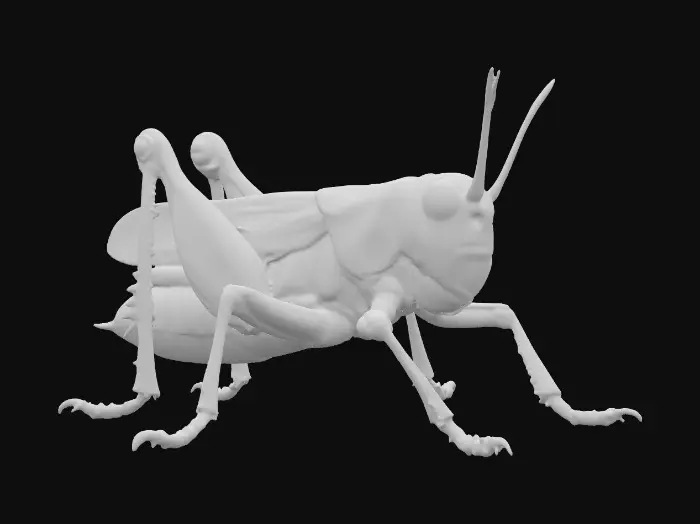3D model for Vibrant Grasshopper Sculpture