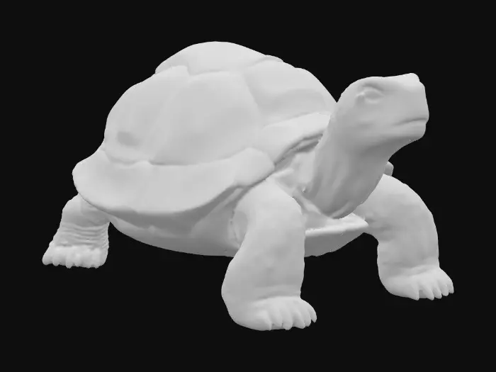3D model for Iridescent Tortoise