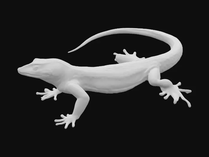 3D model for ChromaLizard