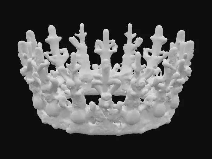 3D model for A 3D model of a regal crown sculpted from intertwining silver corals and luminous abalone shell. Small droplets of crystal water hover above like gems frozen mid-air. PBR materials: abalone shell (iridescence), polished silver, transparent water crystals. Modeled for clarity and symmetry, with a clean regal aesthetic.