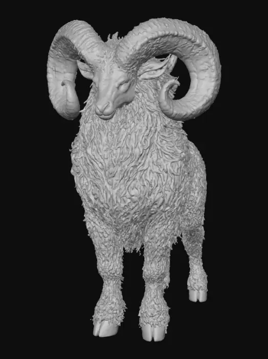 3D model for Galactic Ram