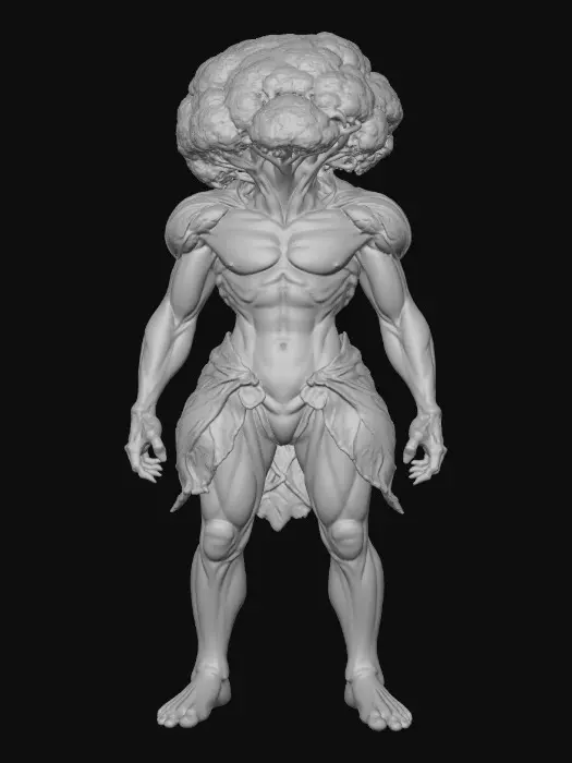 3D model for Cauliflower King