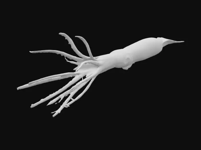 3D model for Crimson Deep-Sea Squid