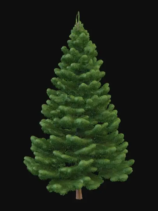 3D model for Evergreen tree