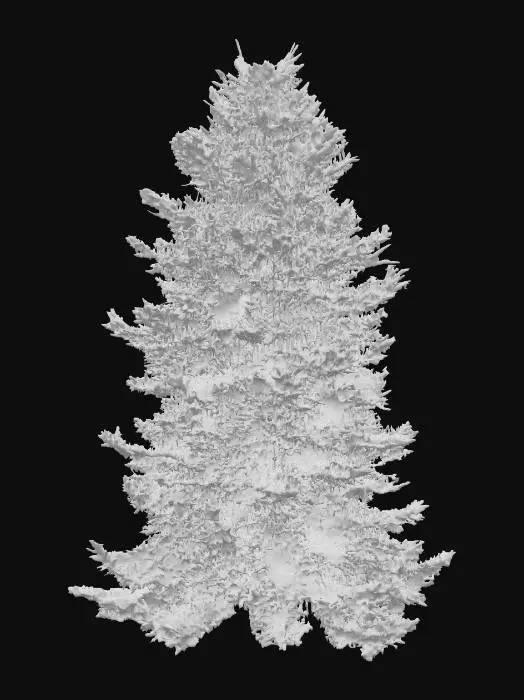 3D model for Evergreen tree