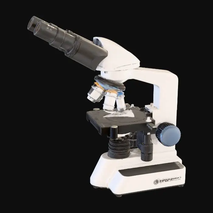 3D model for Compound Light Microscope