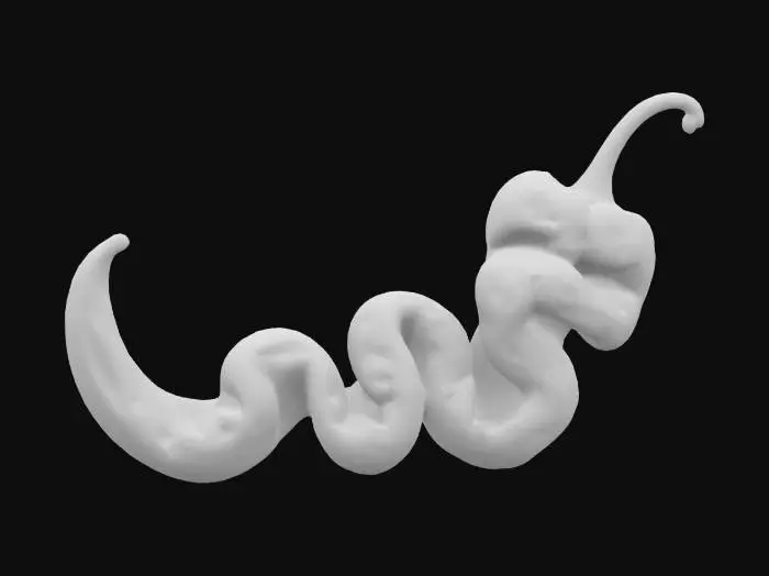 3D model for ContortedPepper