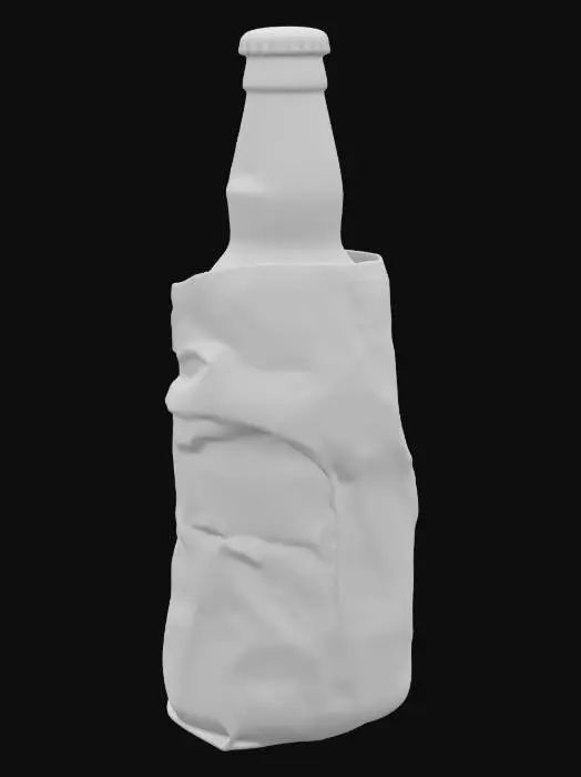 3D model for Bottle in paper bag