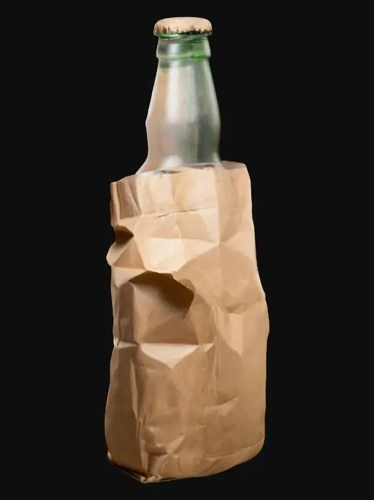 3D model for Bottle in paper bag