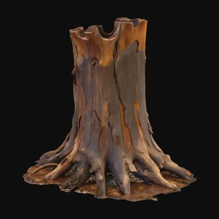 3D model for tree stump