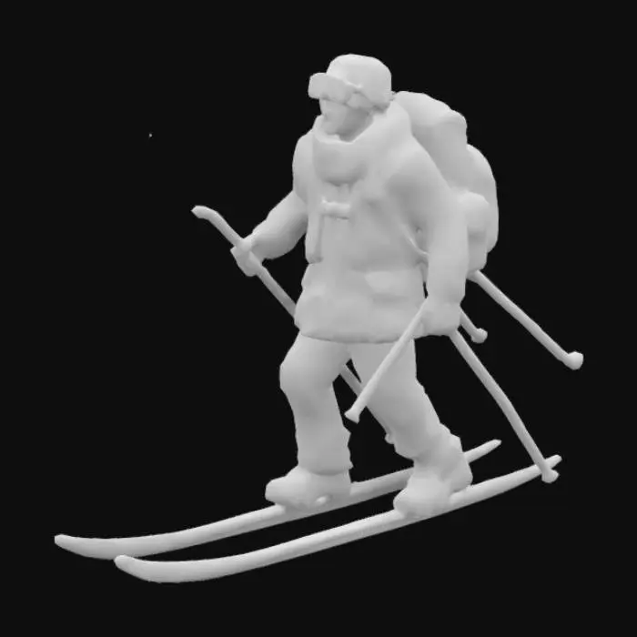 3D model for Winter Adventure Skier