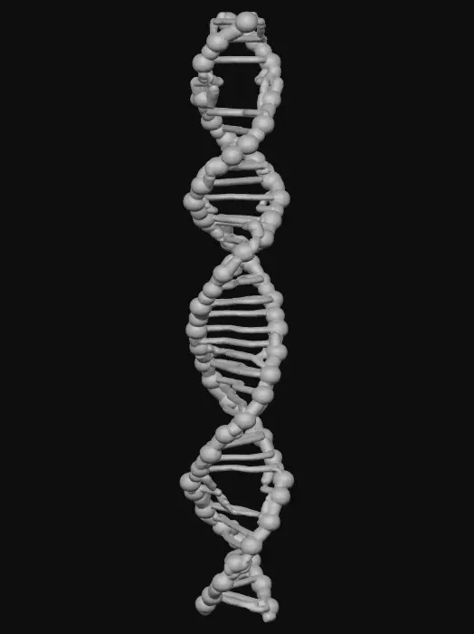 3D model for 3д генная цепочка днк