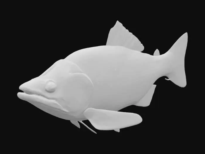 3D model for beautiful realistic ultradetailed hd freshwater river fish with patterned scales