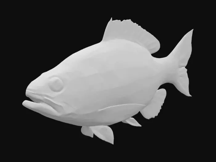3D model for beautiful realistic ultradetailed hd freshwater river fish with patterned scales