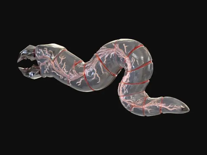 3D model for Sunvein Burrower