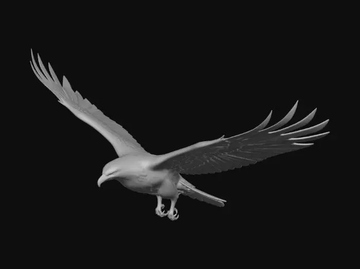 3D model for Dawnwing Kite