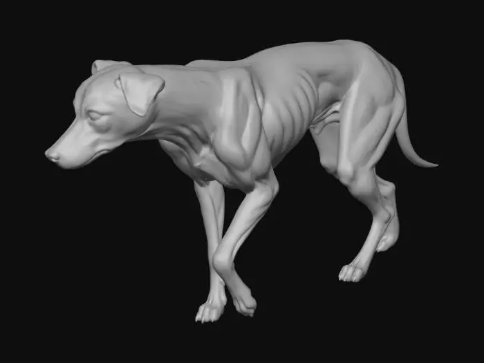 3D model for Sunplaza Hound