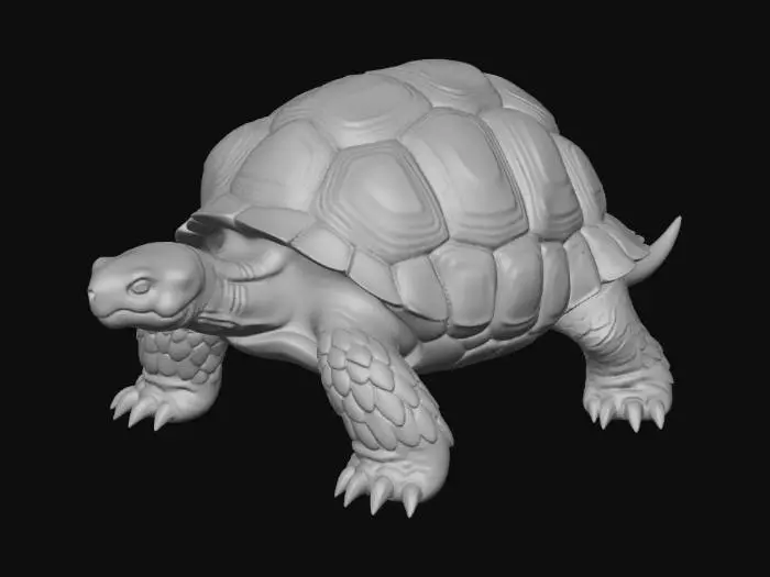 3D model for Kindleback Tortoise