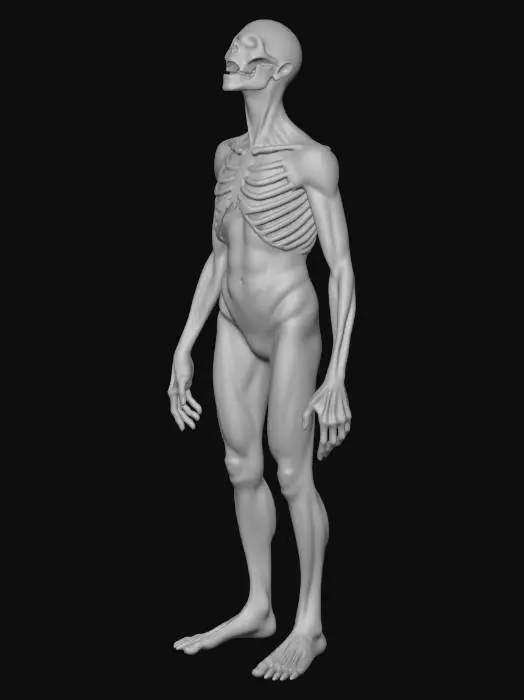 3D model for Canticle Wretch