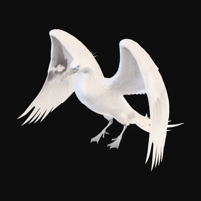 3D model for Veilwing Gull