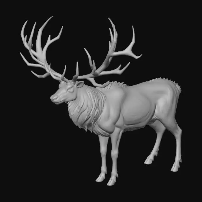 3D model for Thunderhorn Elk