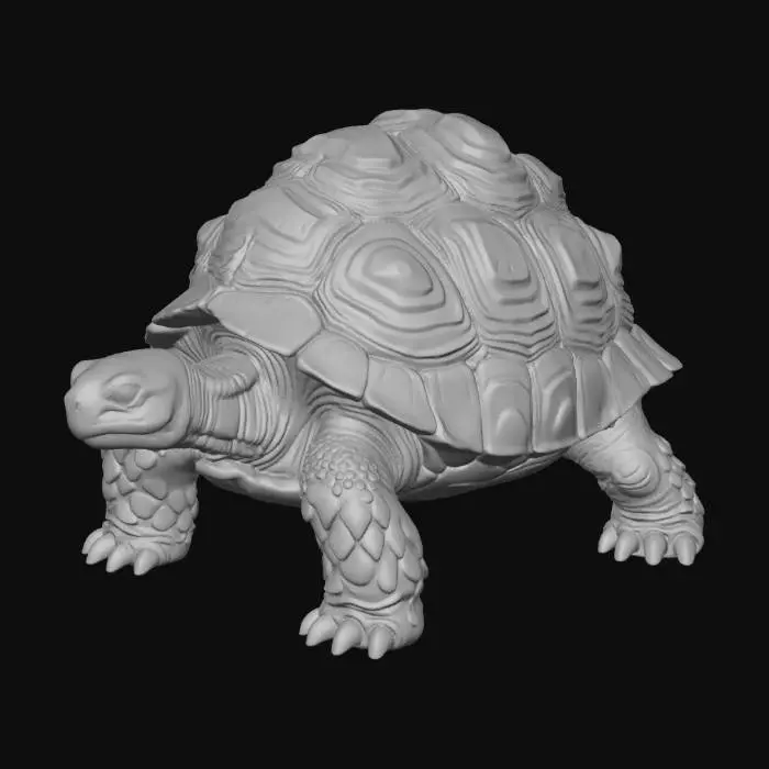 3D model for Boulderback Tortoise