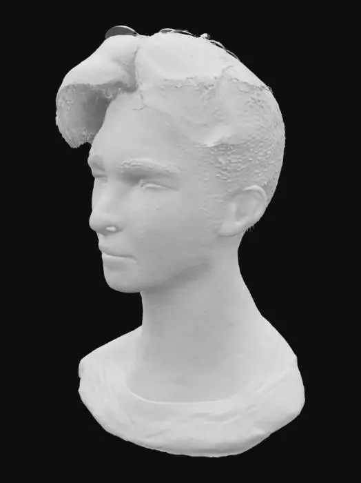 3D model for Contemplative Portrait
