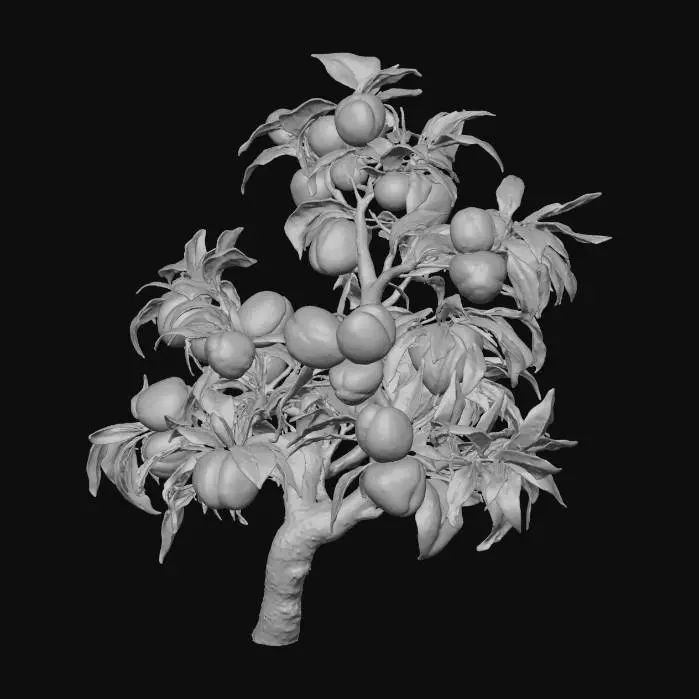 3D model for Peach Orchard Bliss