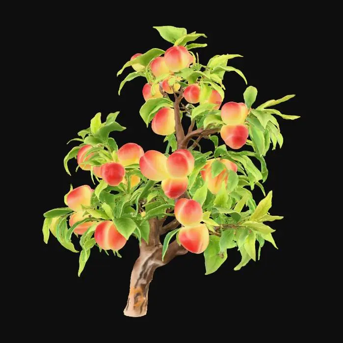 3D model for Peach Orchard Bliss