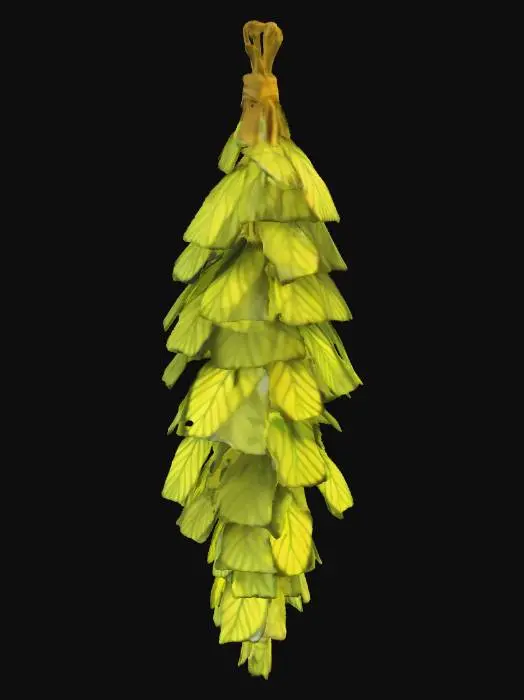 3D model for hanging herbs, mandrake