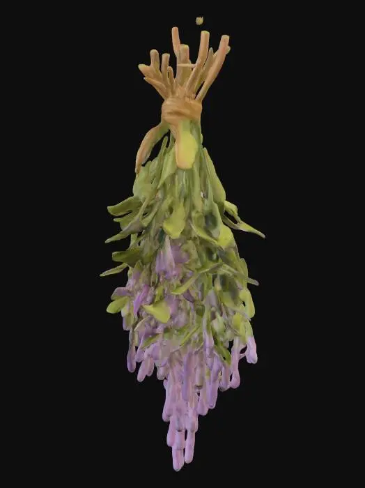 3D model for hanging herbs, lavender