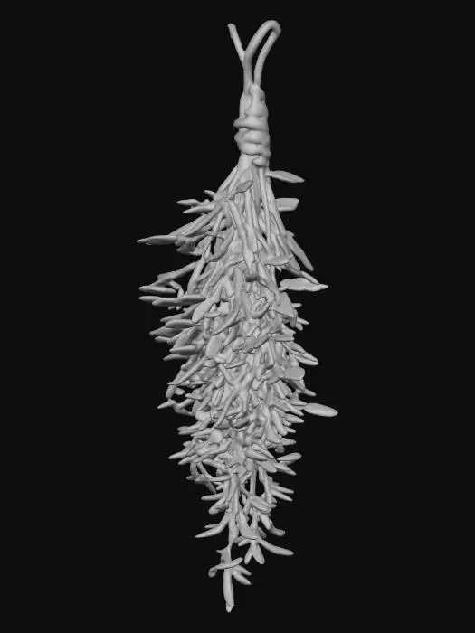 3D model for hanging herbs, thyme
