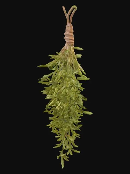 3D model for hanging herbs, thyme