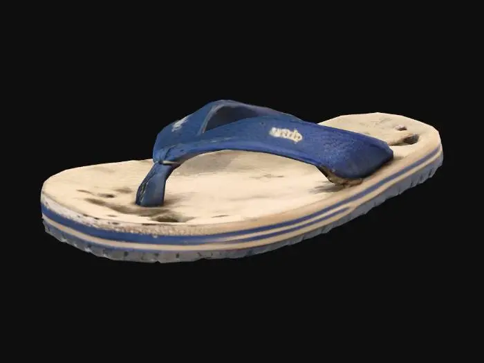 3D model for Old Blue Flip-Flop