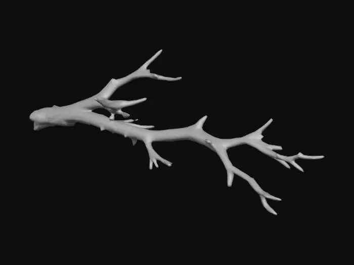 3D model for Branch Silhouette