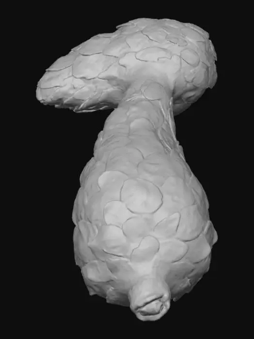 3D model for Pangolin's Embrace