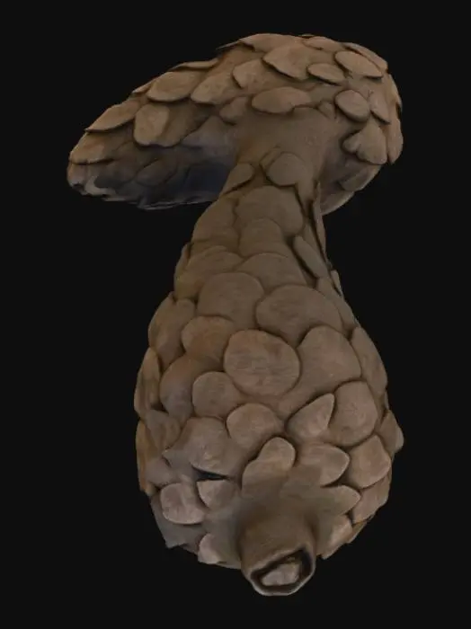 3D model for Pangolin's Embrace
