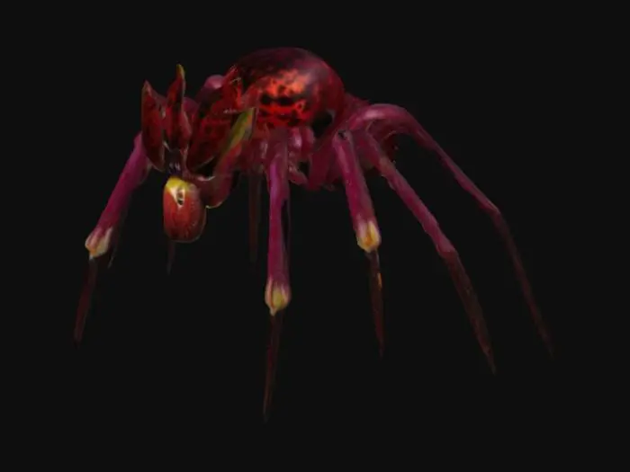 3D model for Floral Spider
