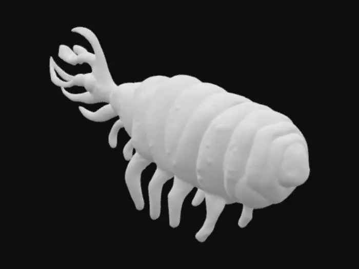 3D model for Anomalocaris Vision