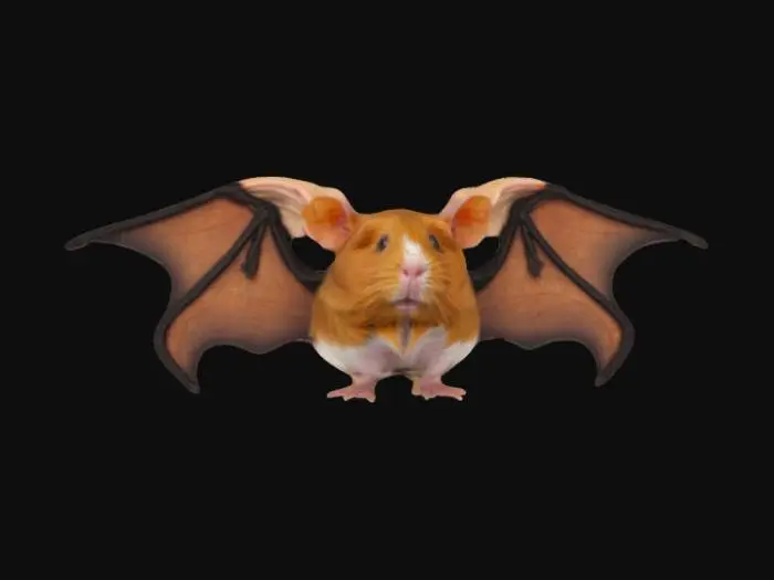 3D model for Bat guinea pig hybrid 