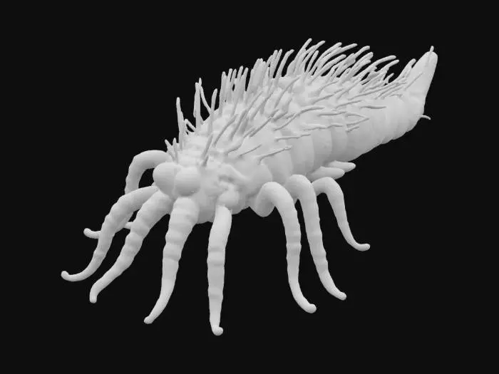 3D model for Alvinella pomejana with spider legs