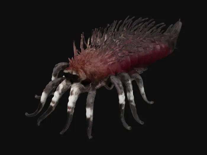 3D model for Alvinella pomejana with spider legs