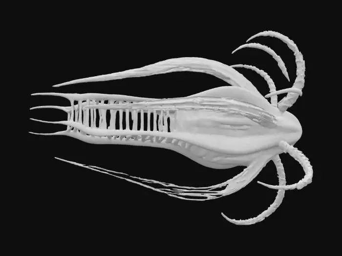 3D model for Ancient Swimmer, #ocean#