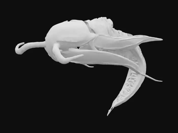 3D model for Ancient Swimmer, #ocean#