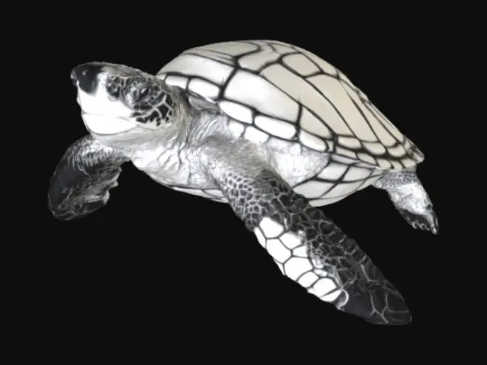 3D model for Turtle Journey, #SketchTo3D#