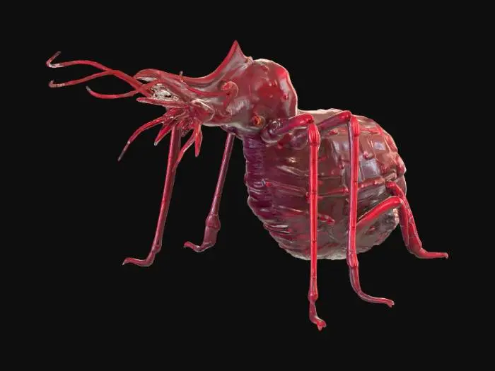 3D model for A parasitic creature with a segmented, serpentine body, covered in a slick, dark crimson skin that shimmers with an oily sheen. Its underside features numerous small, barbed tendrils designed for firm attachment, feeling both adhesive and sharply chitinous. A central, elongated proboscis extends from its head, appearing tough and needle-like. Its body is mottled with subtle, pulsating grey veins, and a series of small, glowing orange nodes run along its flanks, giving it a soft, internal warmth, contrasting with its cold, external texture.