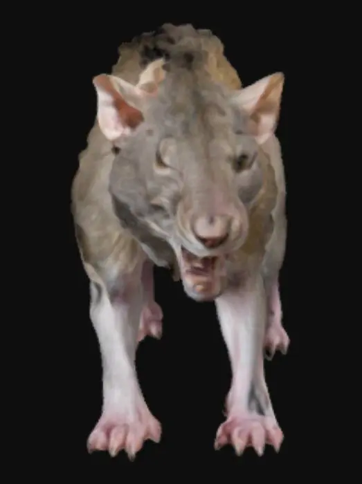 3D model for Lion rat hybrid 