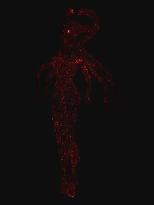 3D model for Cephalopod Warrior