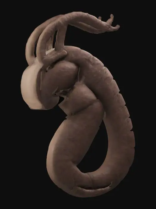 3D model for Serpent Spiral, #emblem#