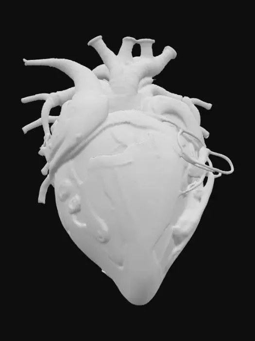 3D model for An HR Giger-inspired realistic heart, sculpted from a fusion of tarnished, dark chrome and glistening, ribbed organic tissue. Its distorted, muscular form is encased in a lattice of interwoven metallic cables and sinewy, bone-like structures, creating a chilling biomechanical aesthetic. The surface features a mix of polished, cold metal and slick, pulsating biological textures in desaturated grays, blacks, and deep venous reds, offering a disturbingly visceral and industrial tactile quality., #PBR#